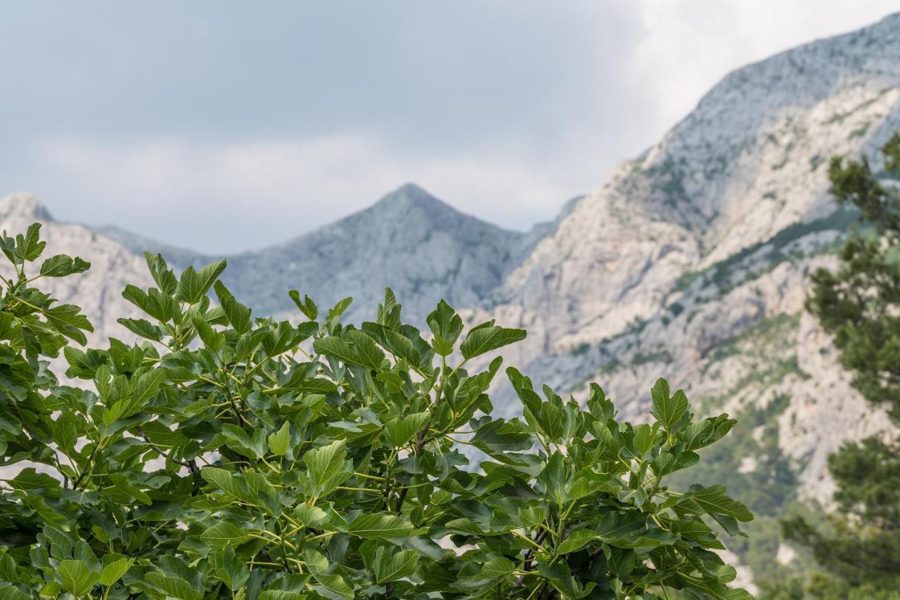 Apartment Strawberry Makarska Esterno foto