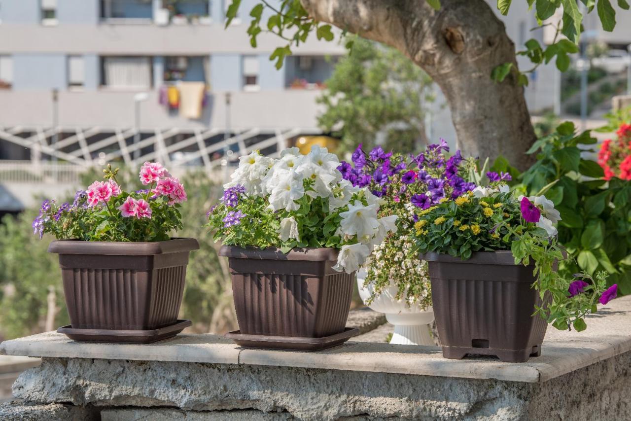 Apartment Strawberry Makarska Esterno foto